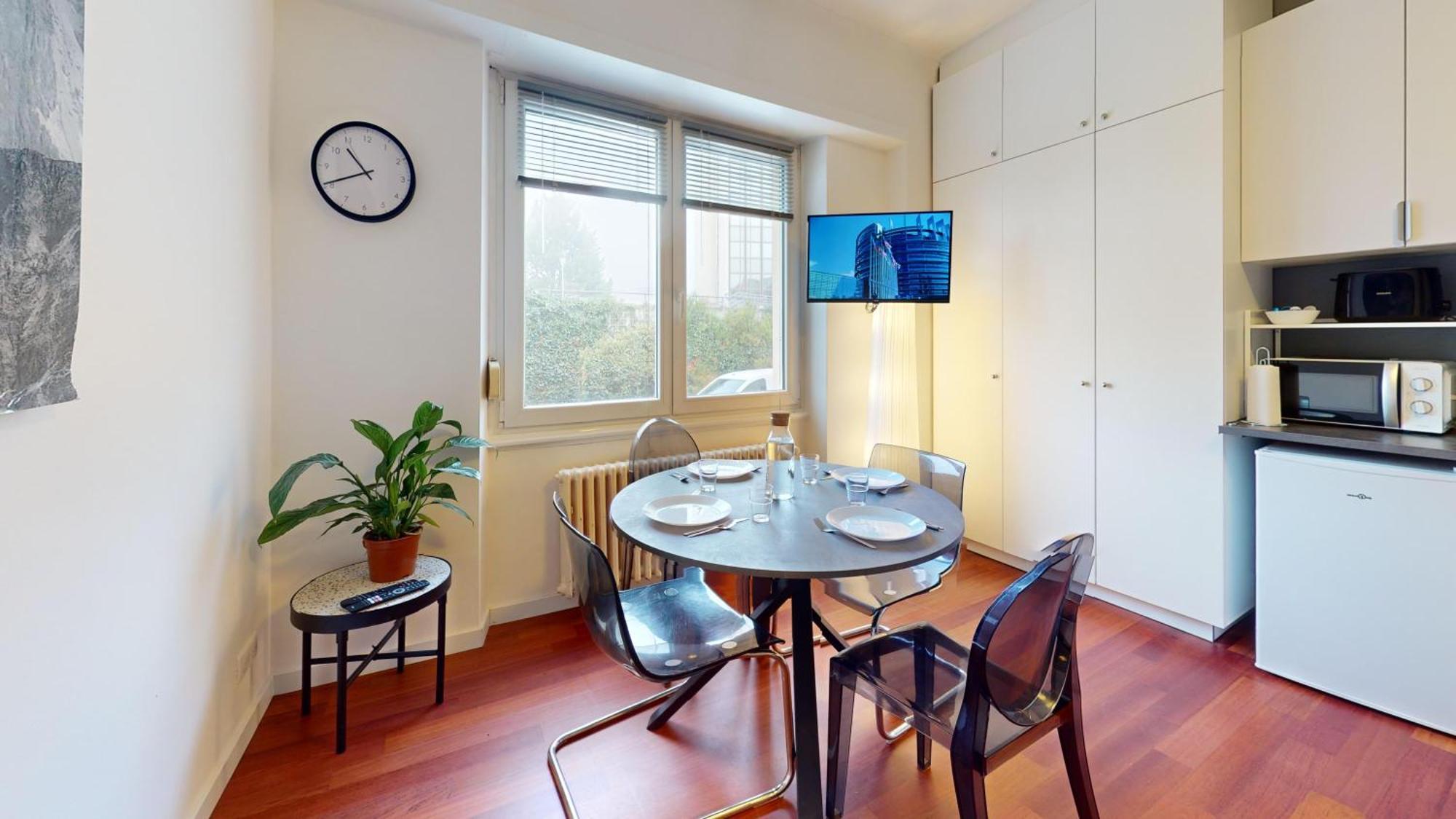 Les Appartements Du General Uhrich - Proche Parlement Strasburgo Esterno foto