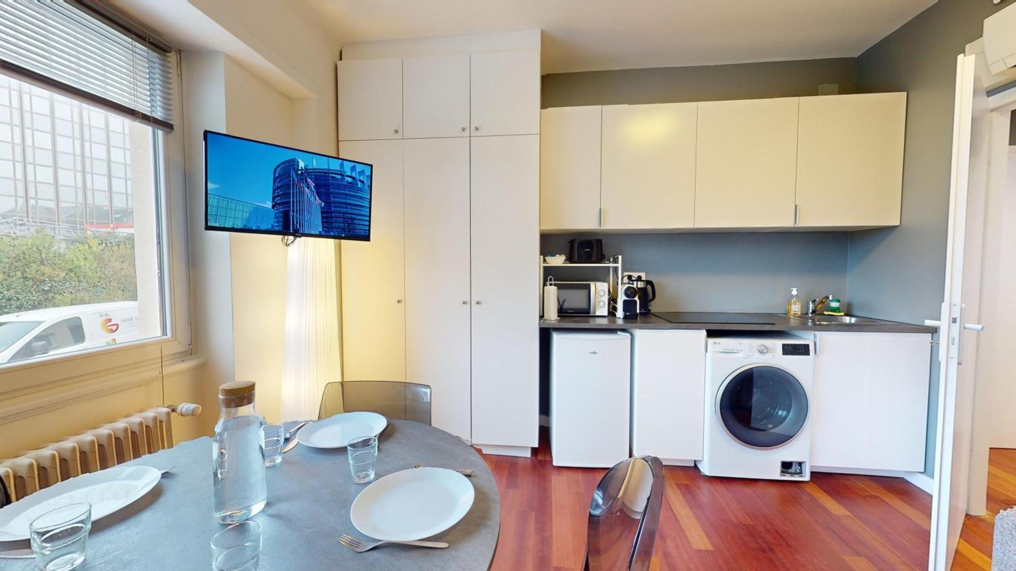 Les Appartements Du General Uhrich - Proche Parlement Strasburgo Esterno foto
