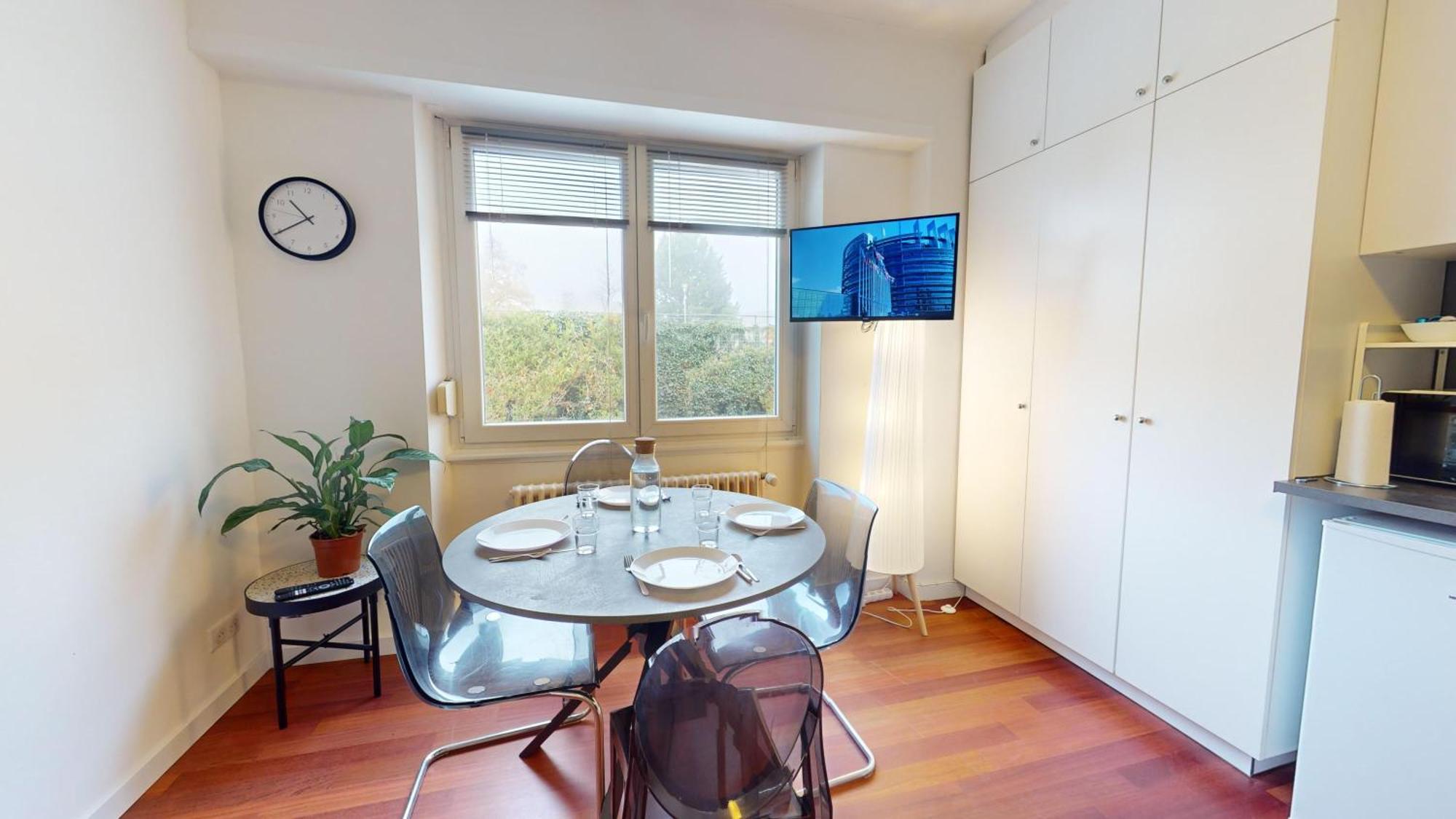 Les Appartements Du General Uhrich - Proche Parlement Strasburgo Esterno foto